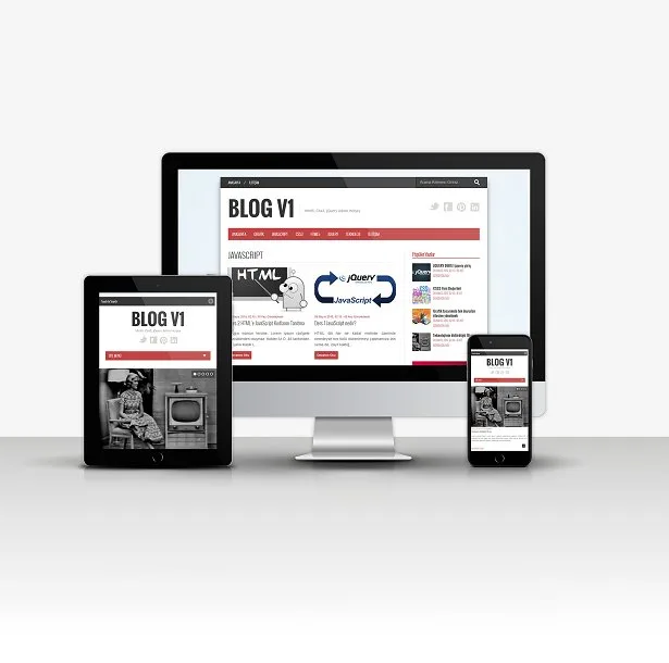 Blog V1